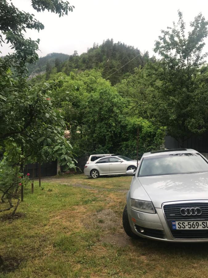 Zviad Guest House Боржомі Екстер'єр фото