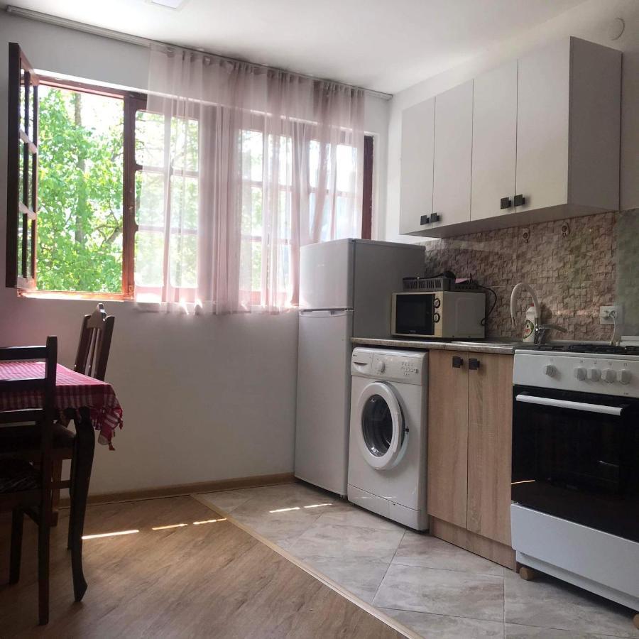 Zviad Guest House Боржомі Екстер'єр фото
