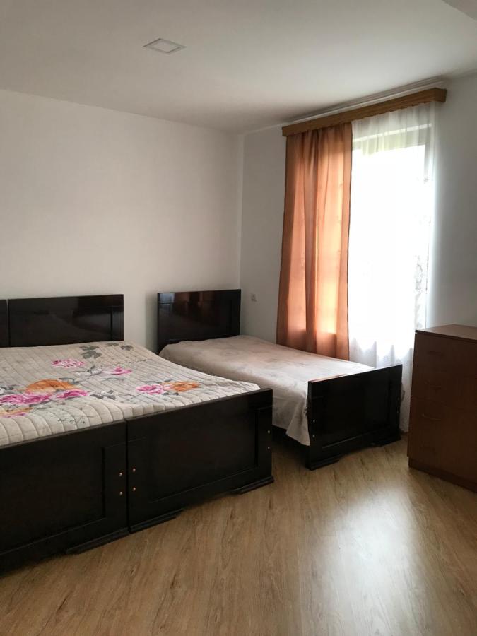 Zviad Guest House Боржомі Екстер'єр фото