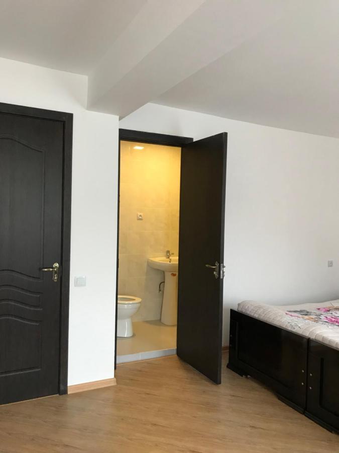 Zviad Guest House Боржомі Екстер'єр фото